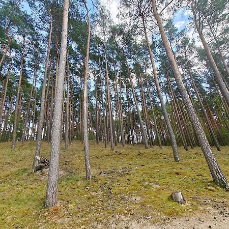 Lesna Ostoja W Centrum Puszczy Nadnoteckiej Otoczona 3 Jeziorami Miedzychod Kültér fotó